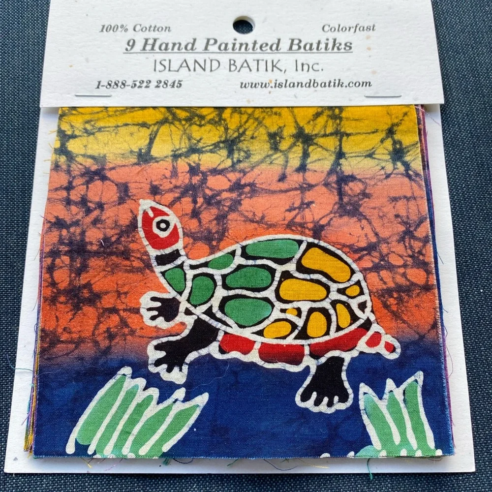 🆕Hand Painted Turtles BNWT